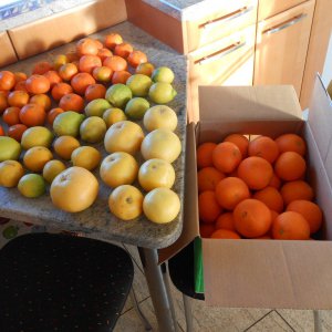 DSCN3188.JPG