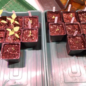 DSCN3198.JPG