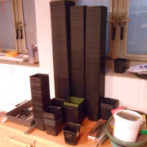 DSCN3208.JPG