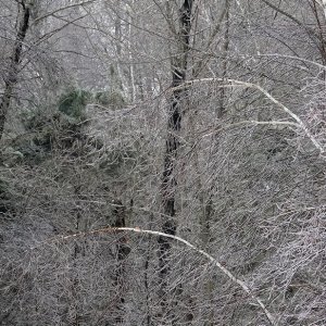 Eisregen