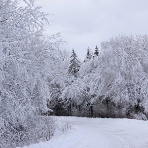 Road