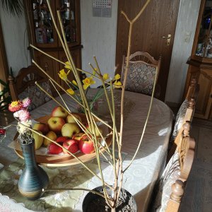 IMG_20200126_134154.jpg