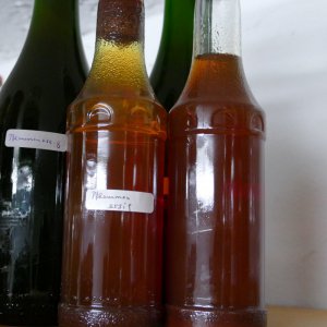 P1000134.JPG