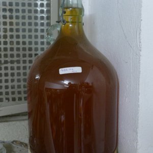 P1000137.JPG