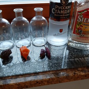 Chilischnapps 14.1.