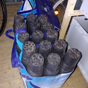1000 Töpfe