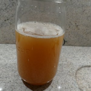 P1000151.JPG