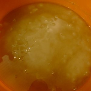 P1000153.JPG