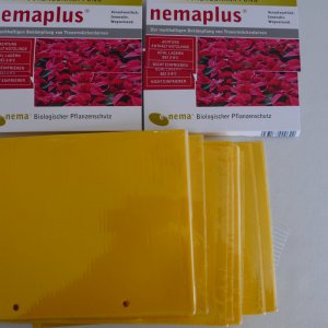P1000157.JPG