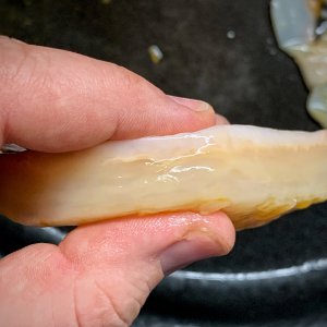 Frucht-SCOBY