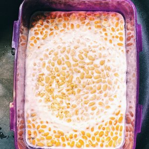 Tempeh