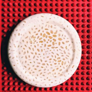 Tempeh