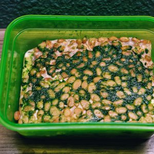Tempeh m. Bärlauch