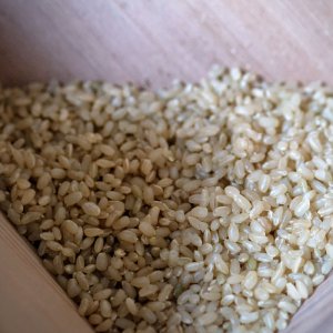 Vollkorn-Mochi-Koji, 0h