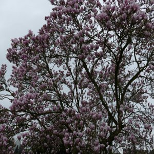 P1000269.JPG