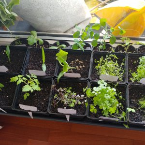 28.3. Coronabetreuung