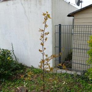 P1000322.JPG