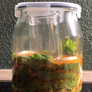 Rollkimchi, 1d