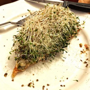 Convenience-Pizza m. Alfalfa-Teppich