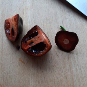 Erste Rocotobeere 2 18.5.
