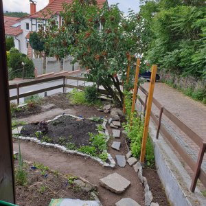 06.06.20 Gartenweg gegraben.jpg