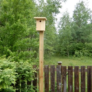 BlueBirdBox
