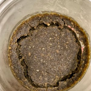 Roggenbrot-Miso, 3m