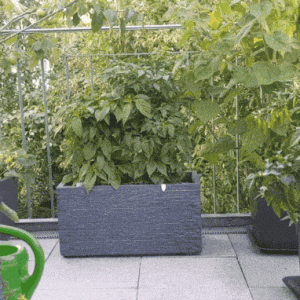 20200703_191933.gif
