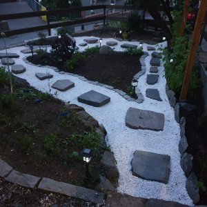 01.07.2020 Garten2.jpg
