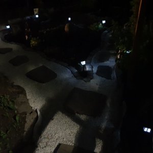 27.06.2020 Garten.jpg