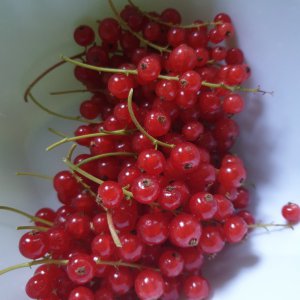 23.06.2020 Johannisbeeren.jpg