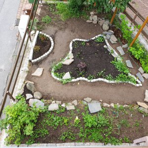 11.06.2020 Garten.jpg