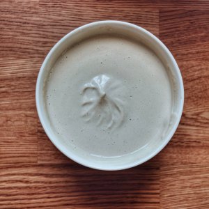 pflanzl. Sour Cream