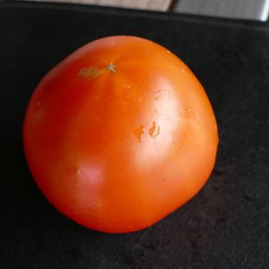 P1010423.JPG
