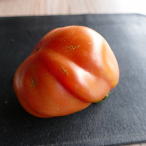 P1010442.JPG