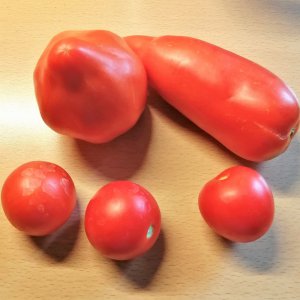 Andenhorn und davor eine unbekannte Kartoffelblatt.
