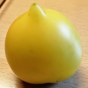Plum Lemon