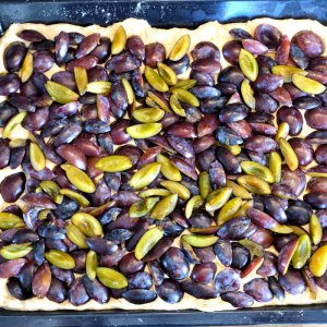 Zwetschgenkuchen