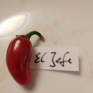 20200910_211905.jpg