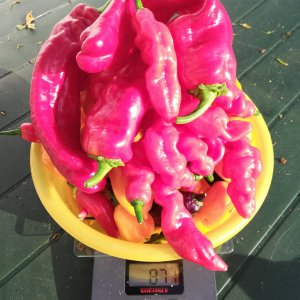 IMG_20200918_171228.jpg