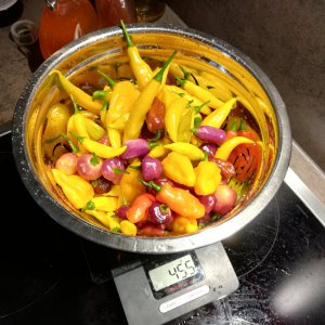 IMG_20201114_164333.jpg