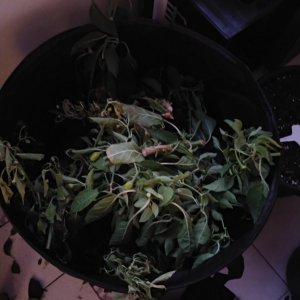 20201126_165555.jpg