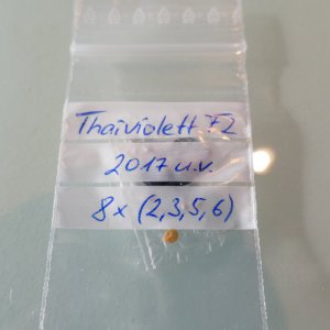 P1010673.JPG