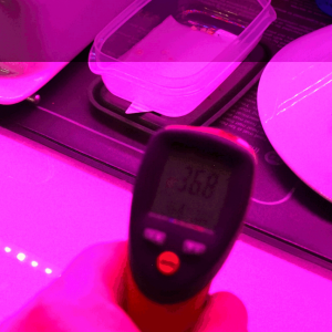 Temperatur Massaker.png