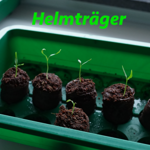 Helmträger.png