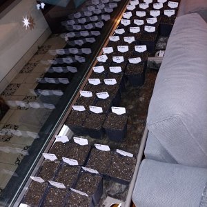 20201207_212856.jpg