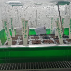 IMG_20201223_095516.jpg