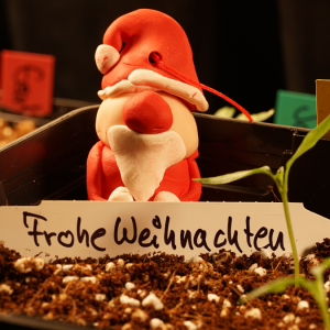 weihnachtsmann1.1.png