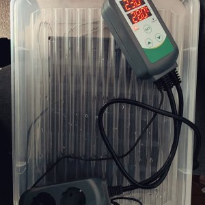 Zieltemperatur 28,0°C