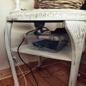 Warmes Nest in der Stube platziert